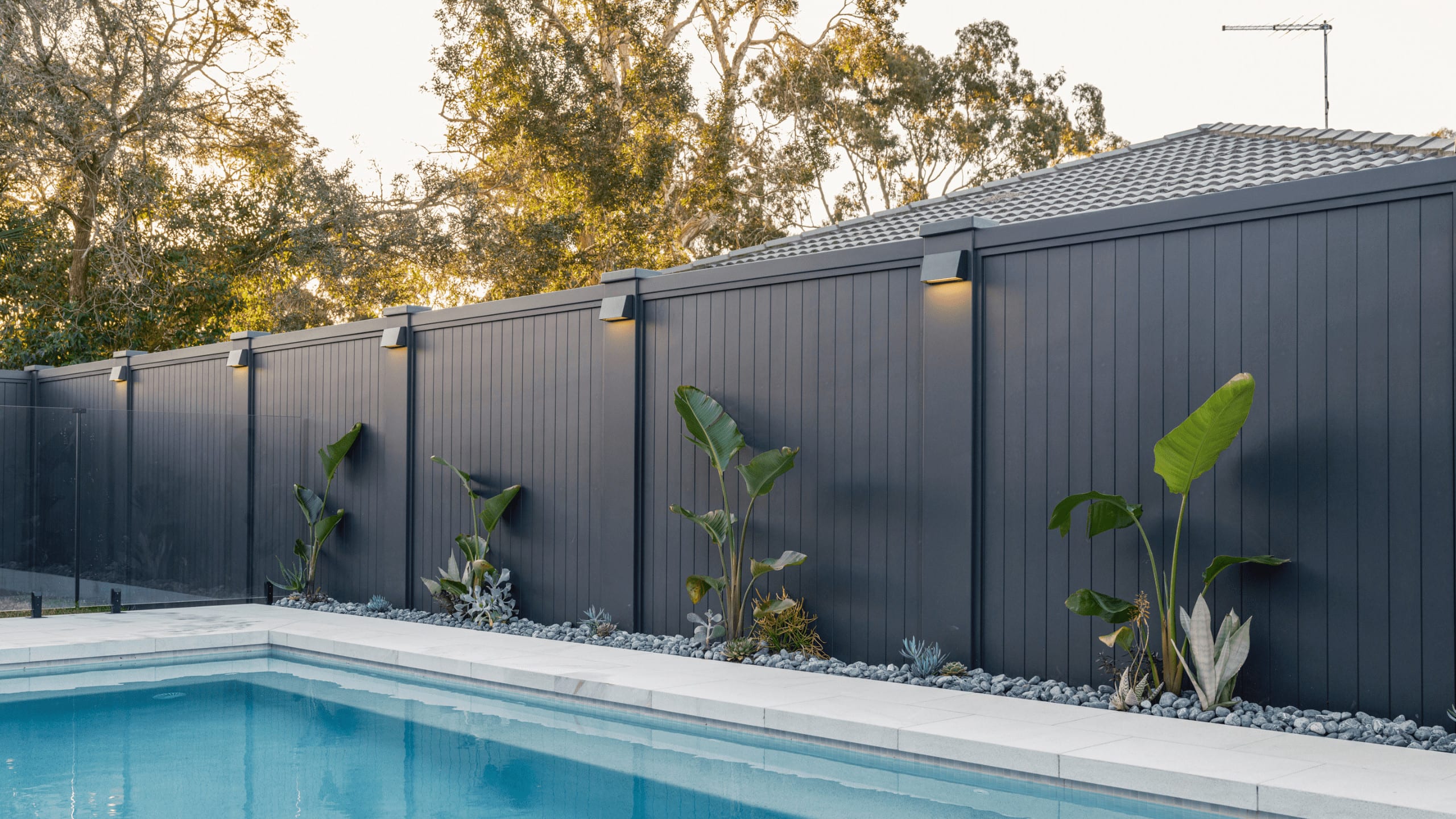 Modern pool area with privacy fence featuring minimalist wall sconces, tropical plants including Bird of Paradise, and dark grey pebble landscaping